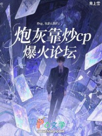 小说炮灰